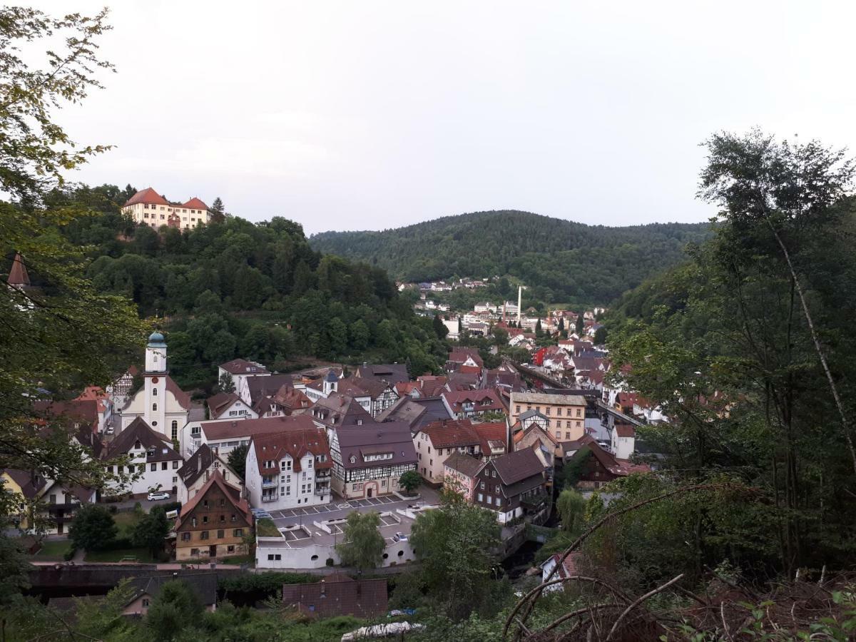 Ferienwohnung Buchberg Exklusiv Neuenburg  Exteriör bild